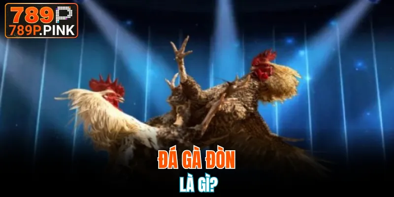 Đôi điều cần biết về đá gà đòn