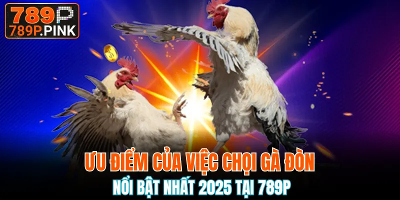 Ưu thế vượt trội của đá kê đòn tại nhà cái